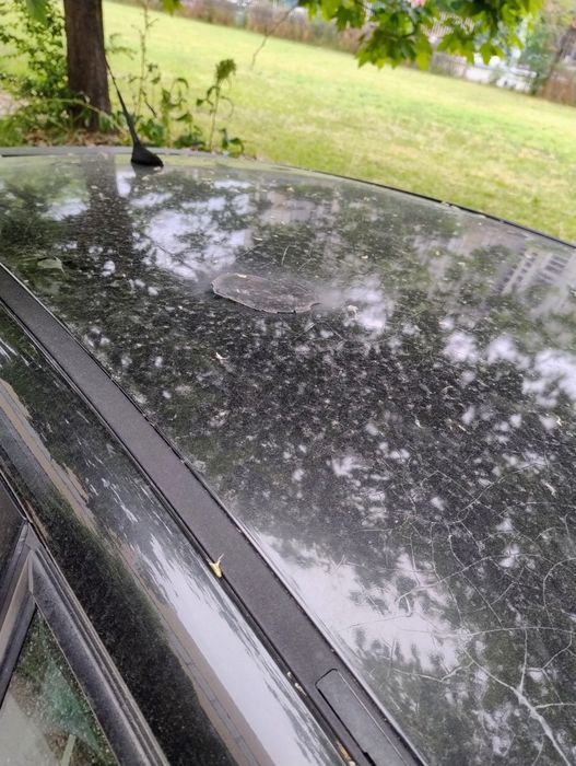 Ситроен Ц4 бензин