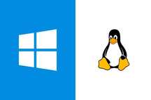 Instalez Windows și Linux