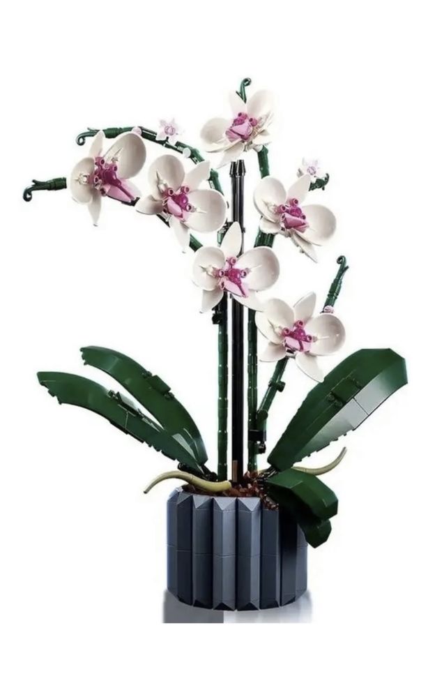 Конструктор цветы, Орхидея