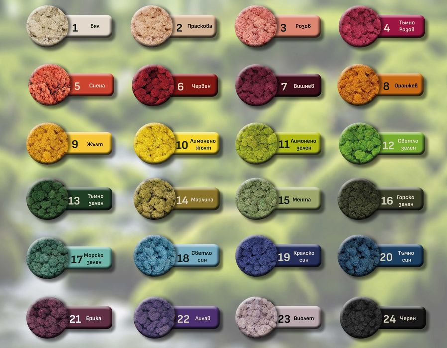 ПРОМО ЦЕНИ! Скандинавски мъх