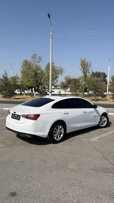 Malibu XL Full Oq rang