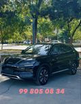 BYD  CHAMPION song plus
