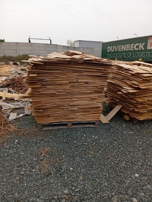 Deșeuri lemn stejar