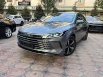 Byd Chazor 120 3 Позится