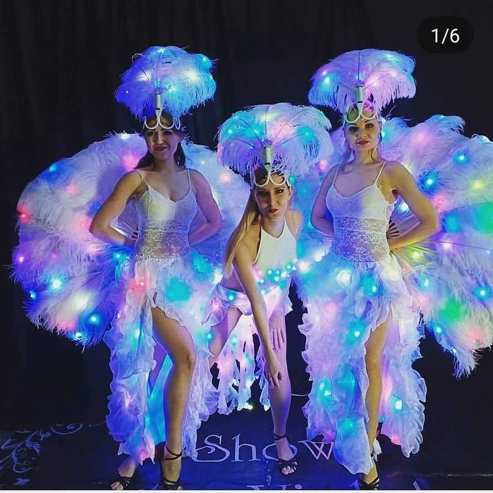 Шоу-программа для вашего праздника!