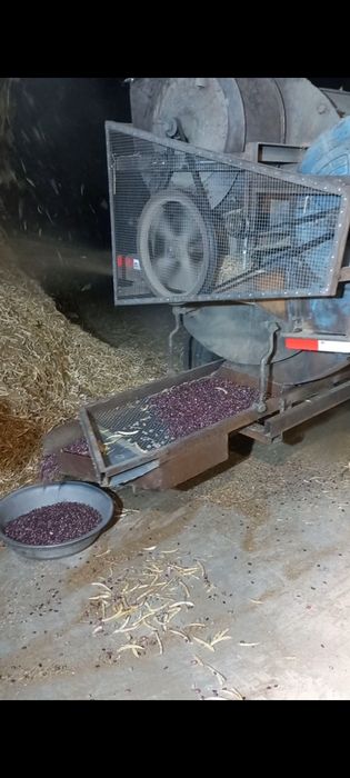 Fasol aparat sotiladi