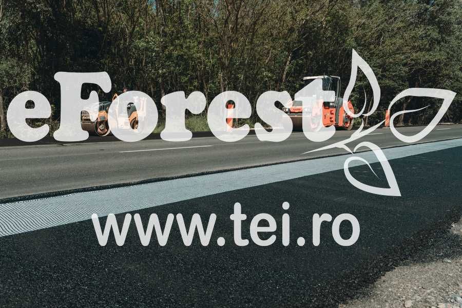Loturi în eForest, lângă liziera pădurii, direct din Drumul Național