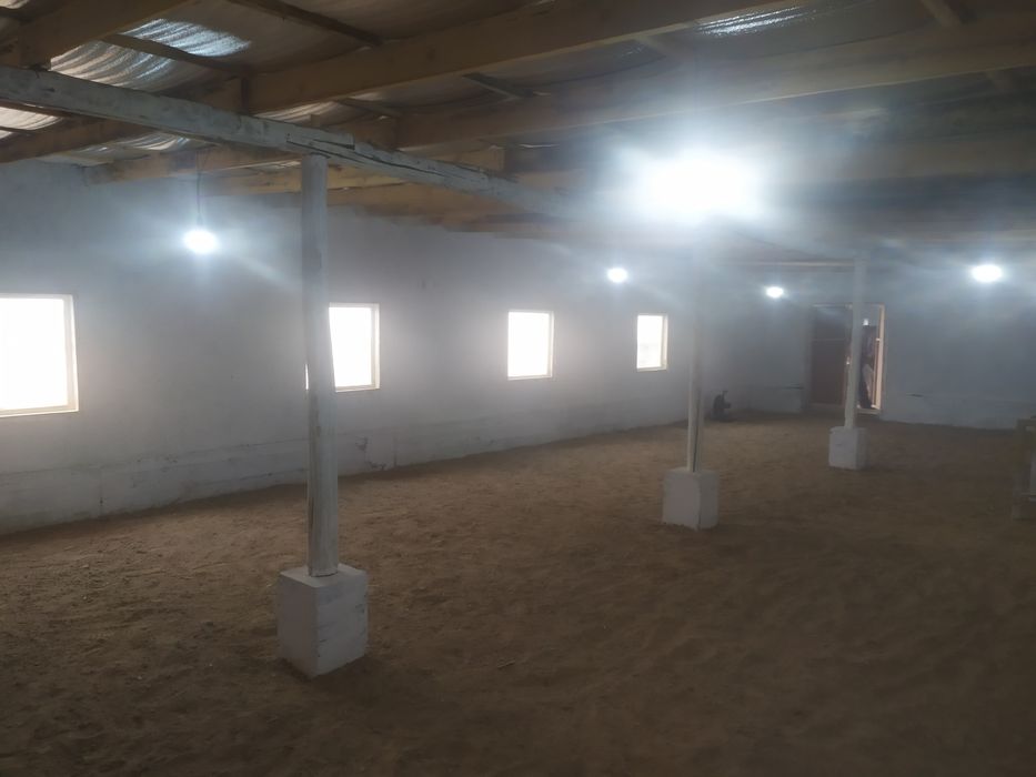 База сотилади арзон нархга