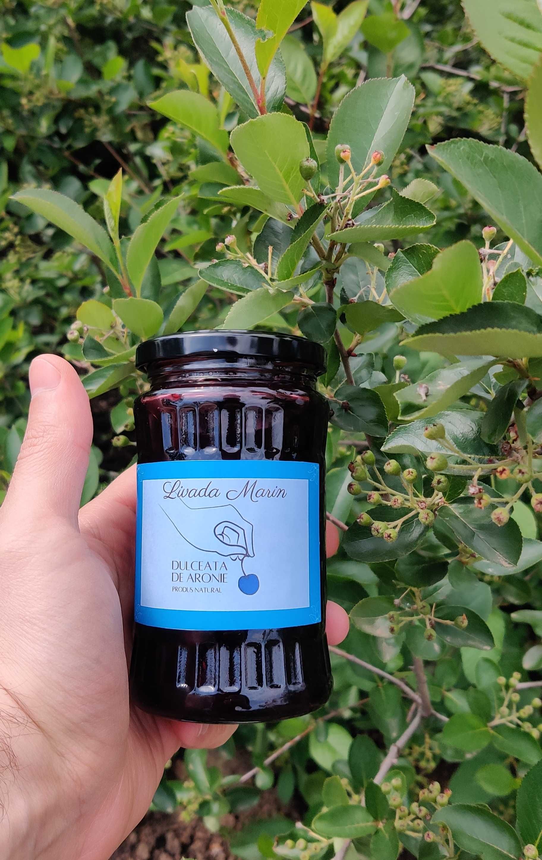 Vand dulceata naturala de aronie