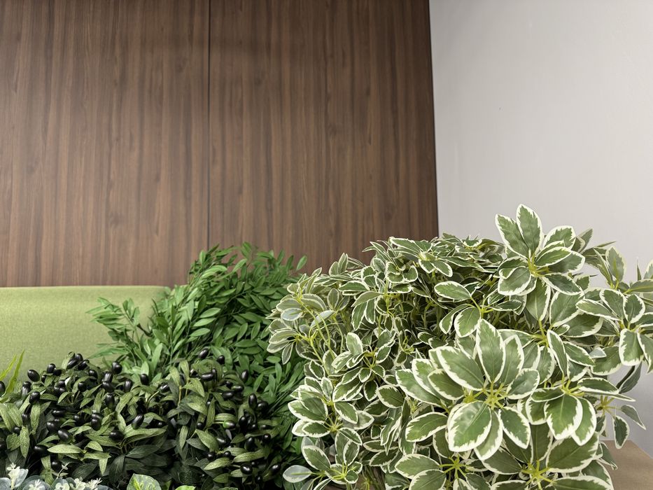 Новые ботанические растения (копии)