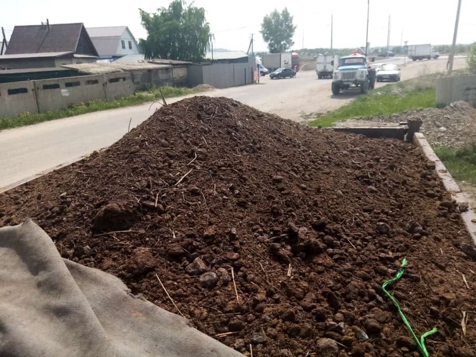 Конский навоз