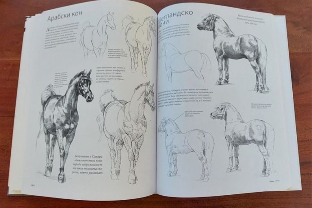 Книги /учебници за рисуване