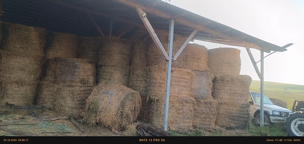 Vând baloți de lucernă și fan