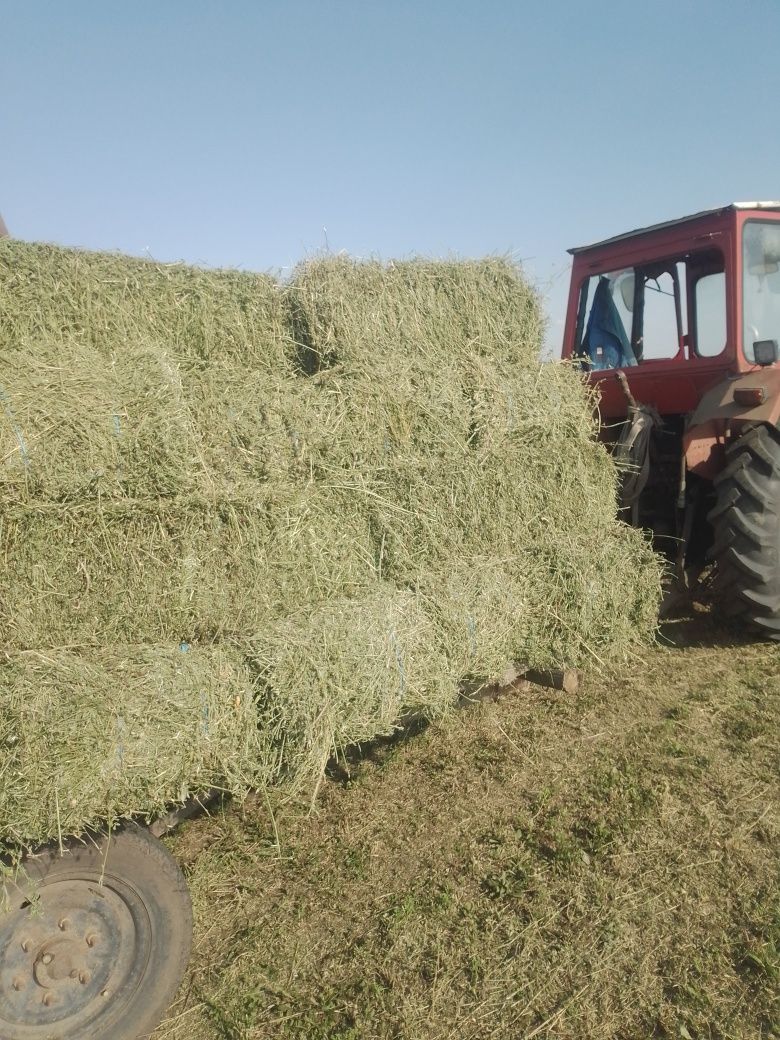 OVĂZ,Baloți dreptunghiulari și Rotunzi de lucernă și paie