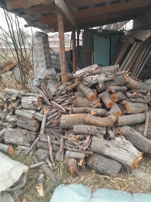 Мева ва ёнгок дарахтларидан утин.