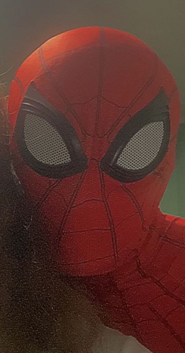 Costum Spiderman ORIGINAL