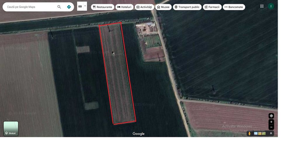 Vand 2 ha livada de pruni sistem intensiv