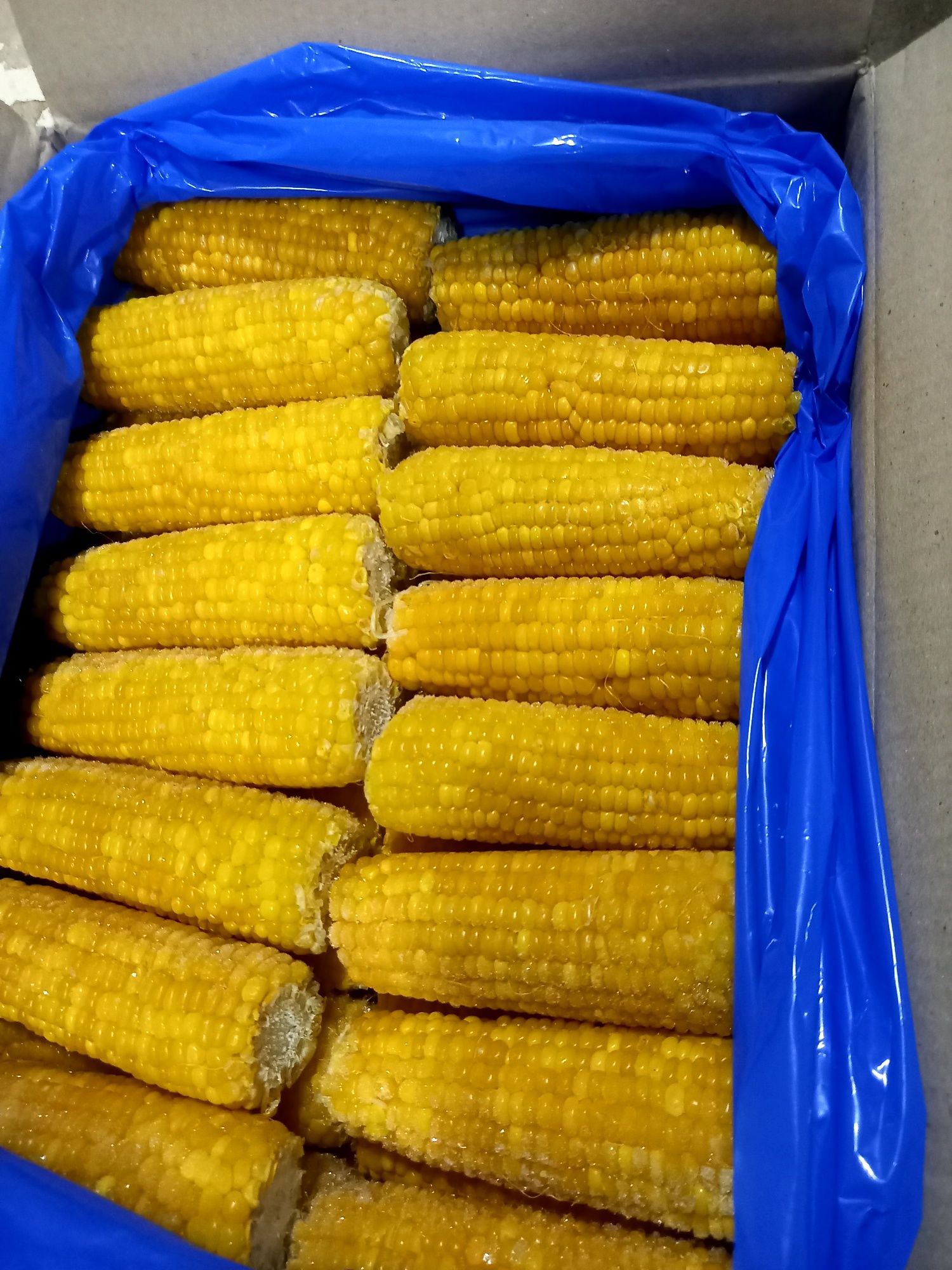 Сладкая кукуруза