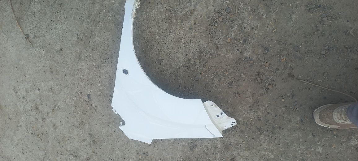 Radnoy Spark krel shafirskoy