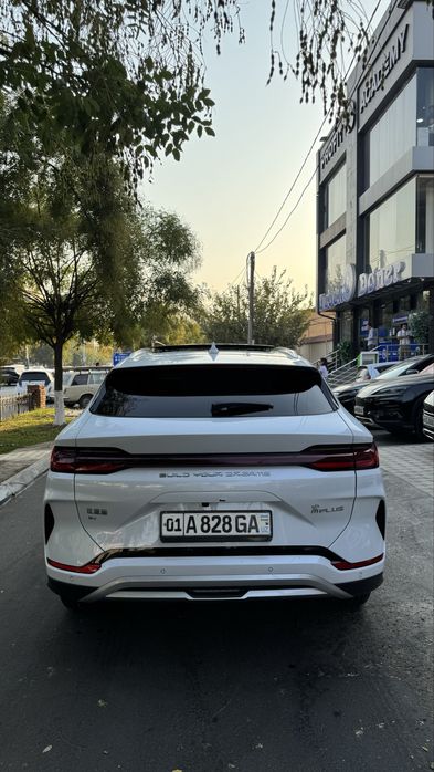Byd champion 2024 yil 605 km