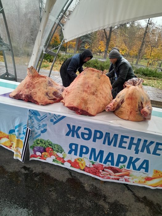 Свежее мясо говядины...Сиыр еті