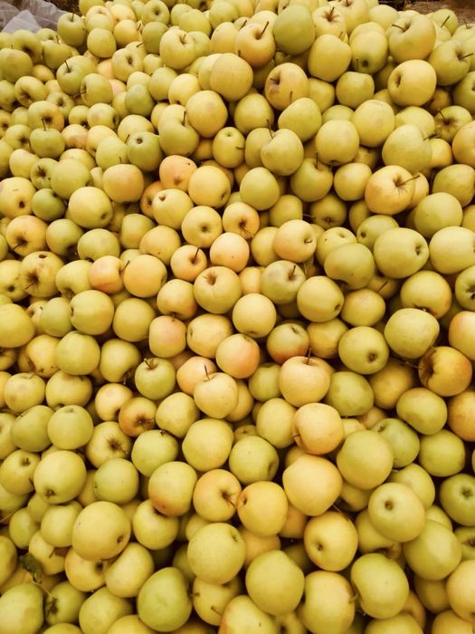 Продам яблоки 2,3 сорта