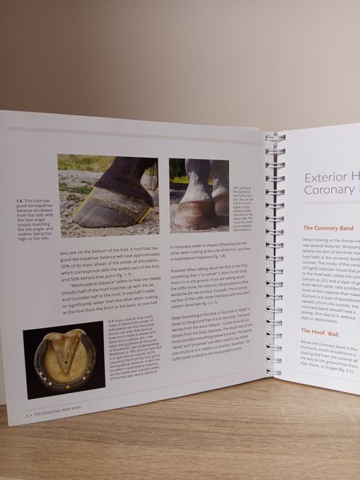 Книга ветеринарна мед. The Essential Hoof Book
