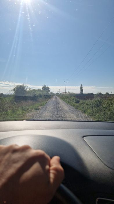 Oi țurcane de vanzare