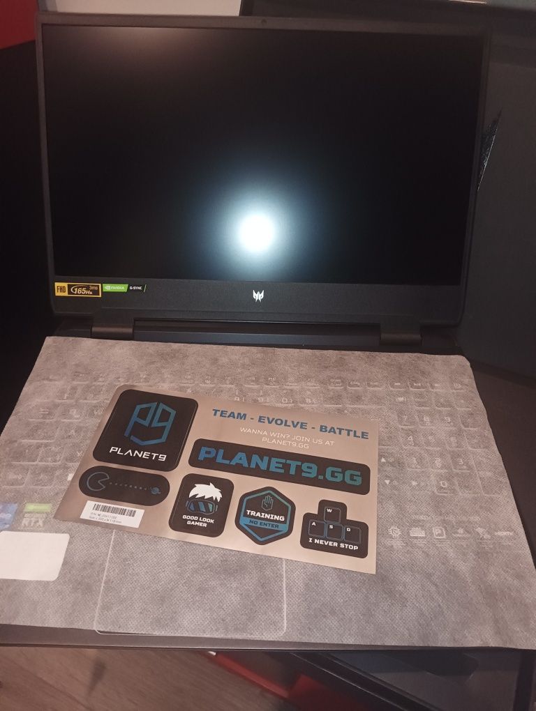 Acer Predator Helios 300
