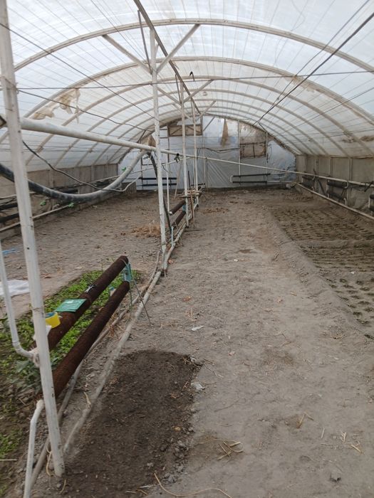 Теплица 8×20 Фаргонада.