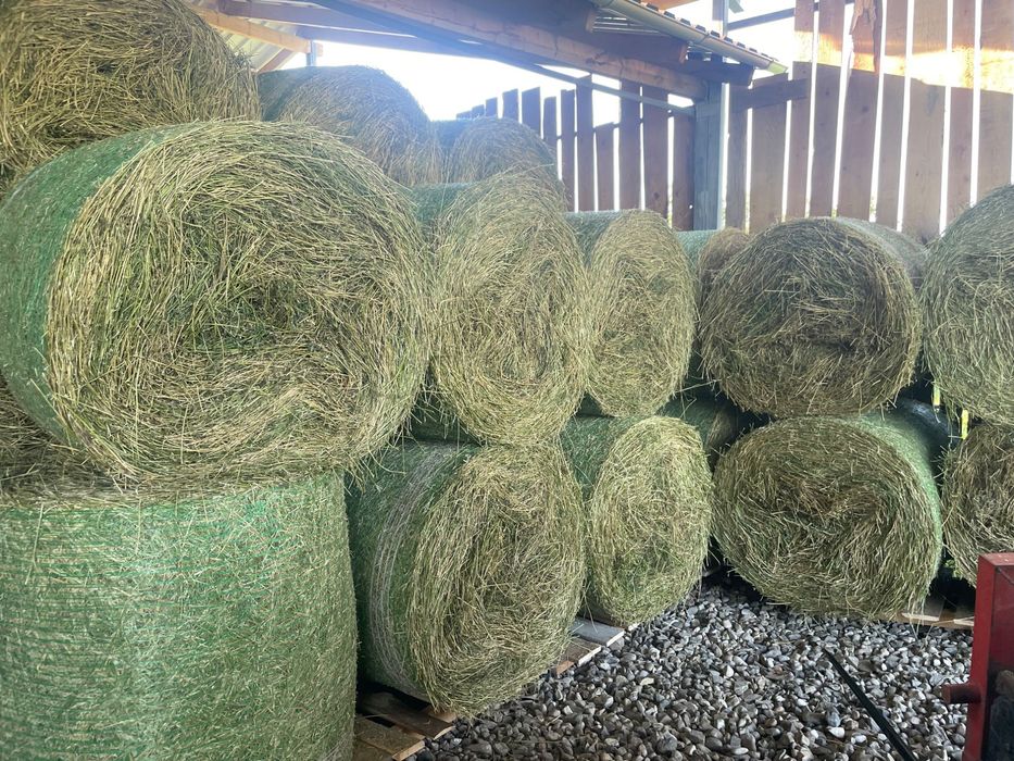 Vind baloți de lucernă foarte bună calitate