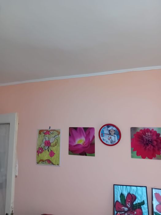 Casa la curte de vanzare