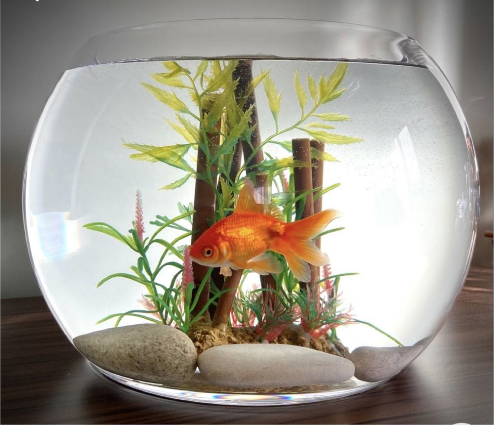 Круглый аквариум или ваза 10литров
