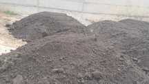 Pamant negru vegetal curat