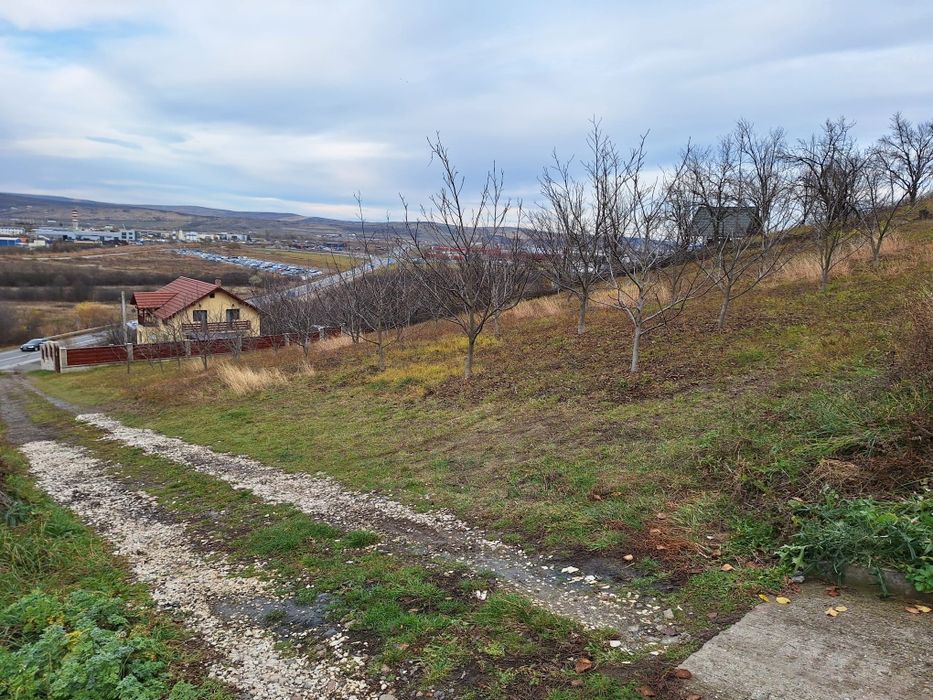 Vand teren intravilan Dezmir