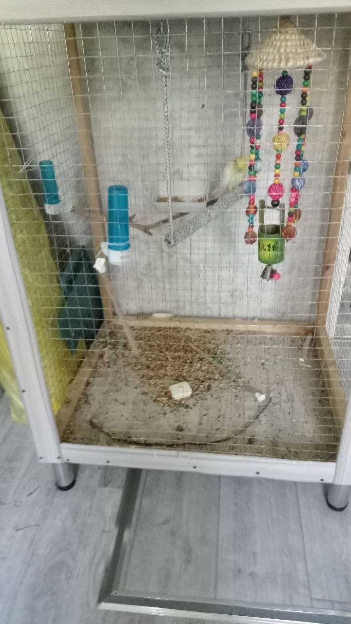 Продаю большую клетку для птиц