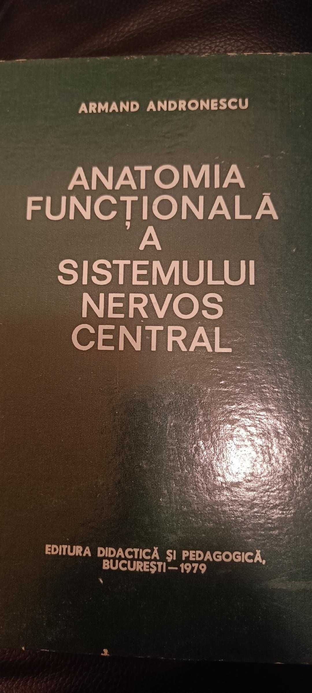 Anatomia  functionala  a sistemului nervos ARMAND ANDRONESCU