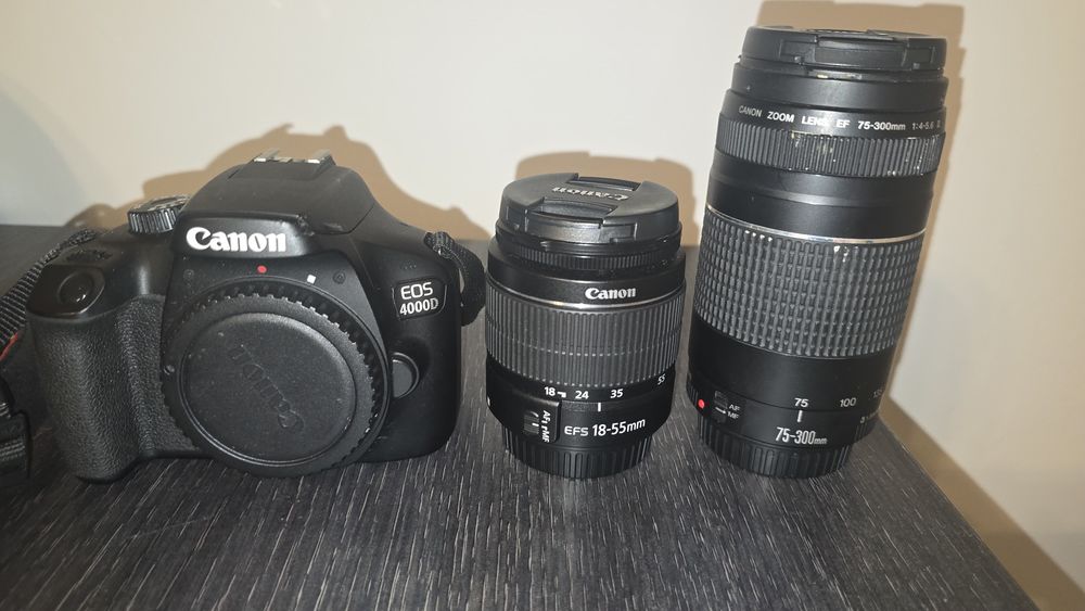 Vand Aparat Foto Canon EOS 4000D