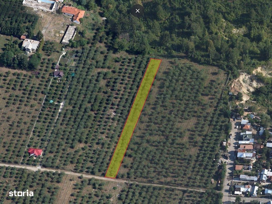 Teren intravilan 2500 mp ~ Campina