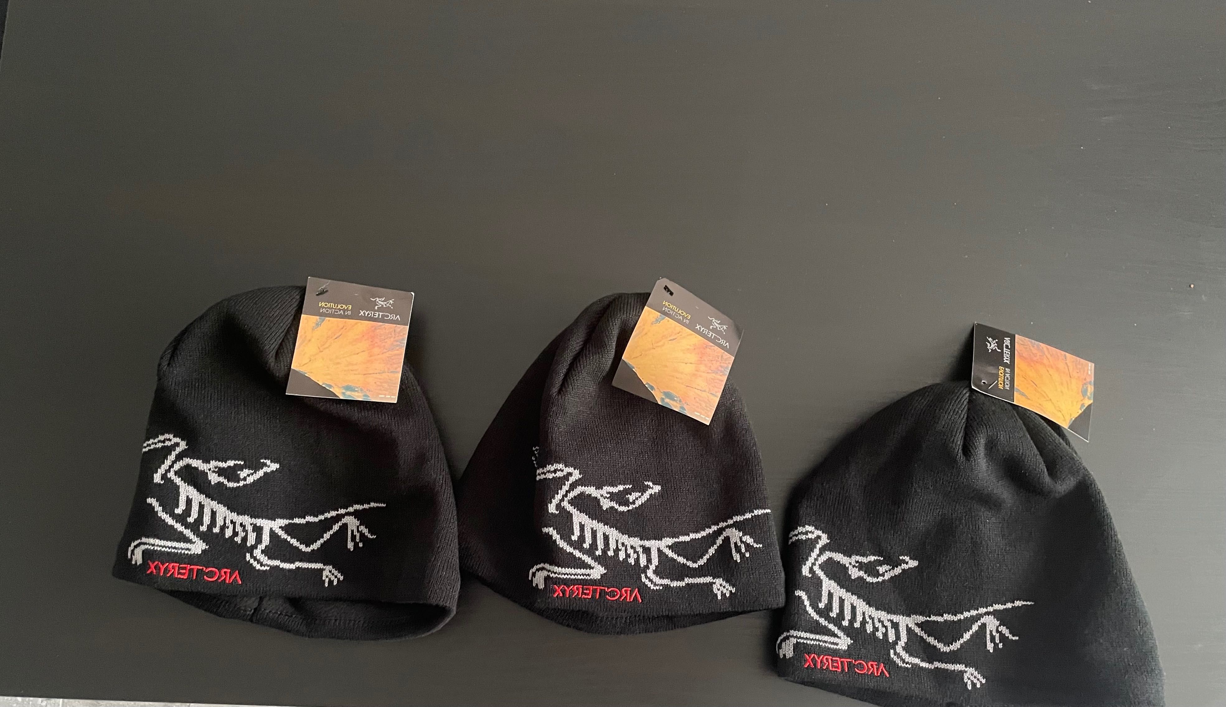 Fesuri Arcteryx