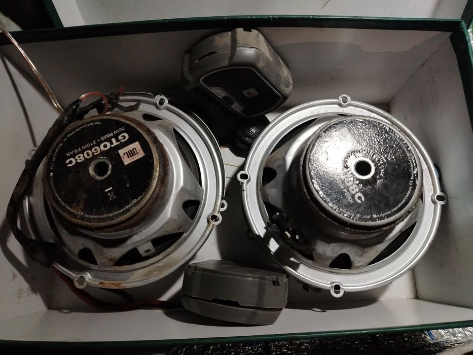 Kalonka jentraniki radnoy