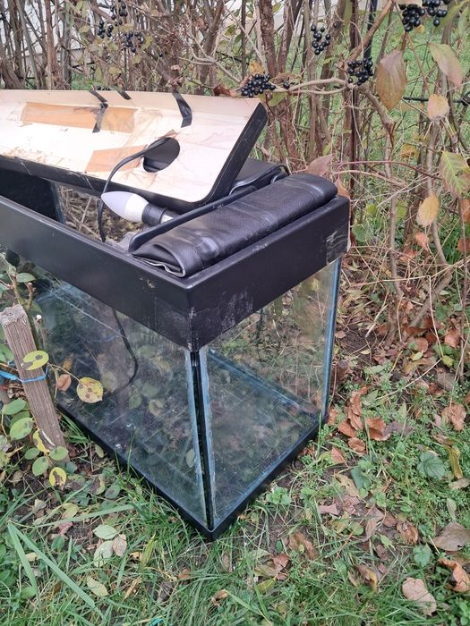 Acvariu de 100 de litri