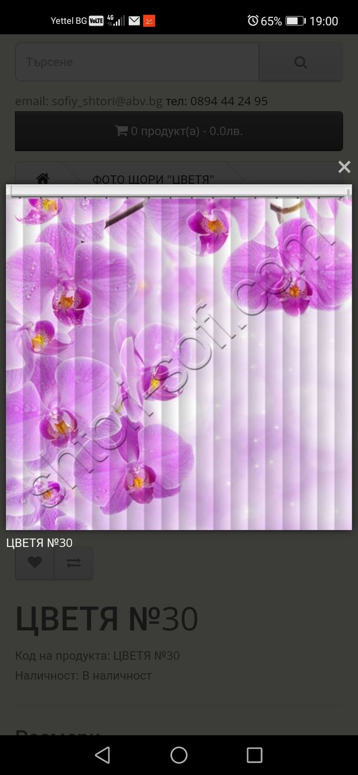 Фото щора орхидея