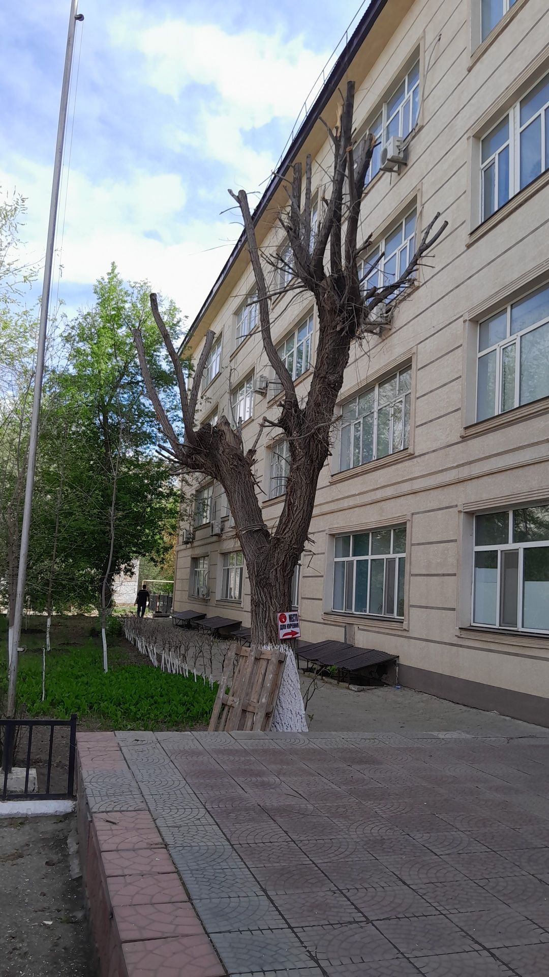 Ағаш кесу,спил деревьев,обрезка