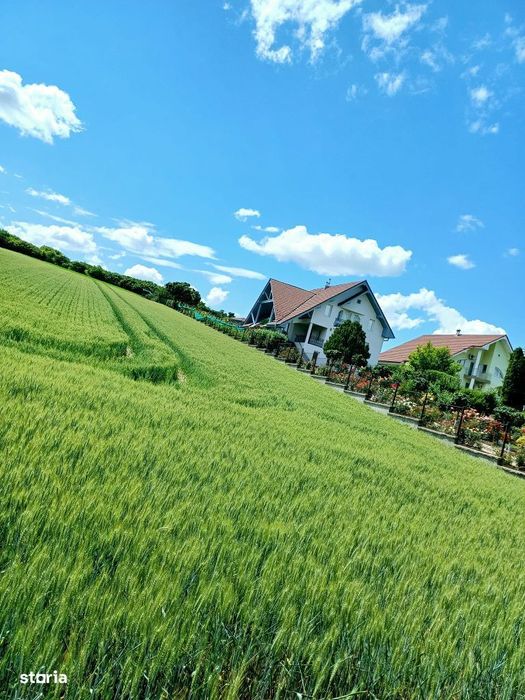 Teren DE VANZARE , In Tarnaveni!