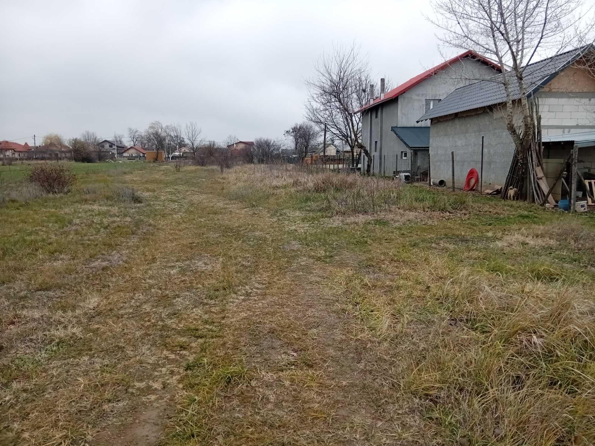 Teren de vanzare in Vanatorii mici jud Giurgiu