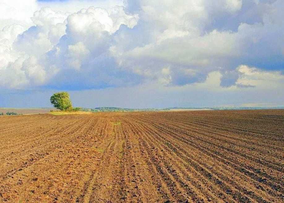 Продам сельхоз землю, Карагандинская обл