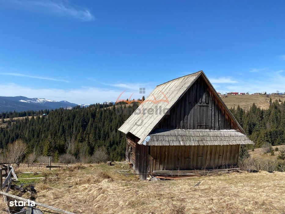 Teren de vanzare intravilan 1924m² 15.146m² extravilan in Dealu Botii-