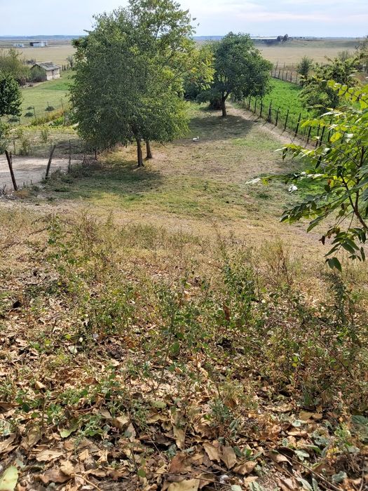 Vând casă bătrâneasca