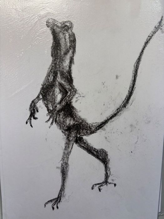 Скици с въглен 106 броя